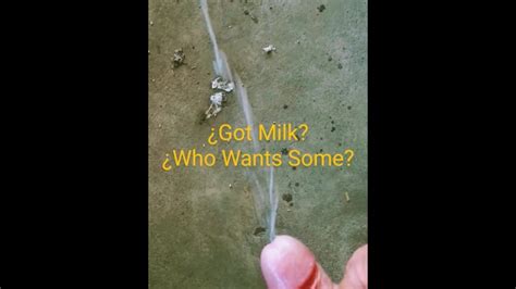 Got Milk Pornhub Gay