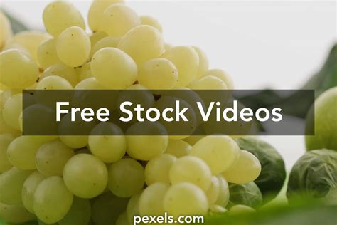 Green Diet Videos Download The Best Free 4k Stock Video Footage