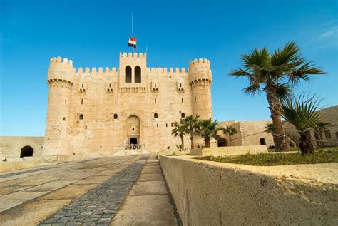 UPS Shipping Services in Alexandria at 4501 Jackson St Extension 22