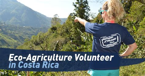 Eco Agriculture Volunteer In Costa Rica Maximo Nivel