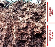 EDAFOLOGIA Lección 4 Estructura del suelo