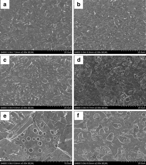 SEM (scanning electric microscope) micrographs of films surface: A ...
