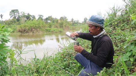 Dapat Banyak Sambaran Ikan Nila Besar Sambil Ngopi YouTube