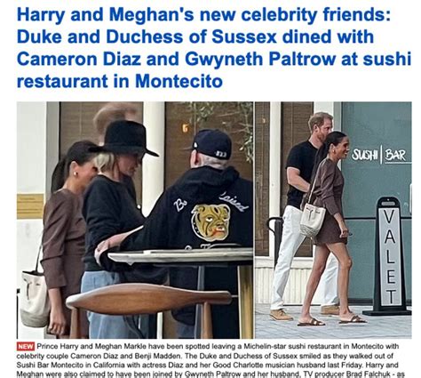 Is Meghan's Mole Twitter Account a Hoax? The Shocking Truth - d85yvpg