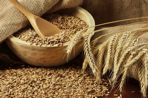 Igc Forecasts Record Wheat Crop In 2020 21 2020 02 28 World Grain