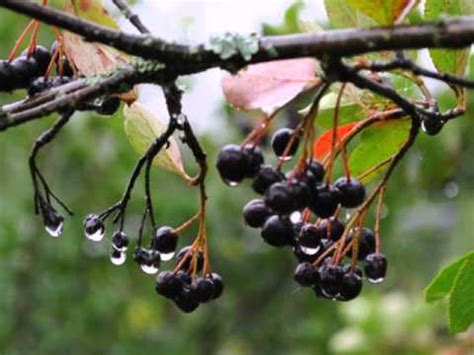 Александр Суханов - ЗАЧЕМ И О ЧЕМ ГОВОРИТЬ - YouTube