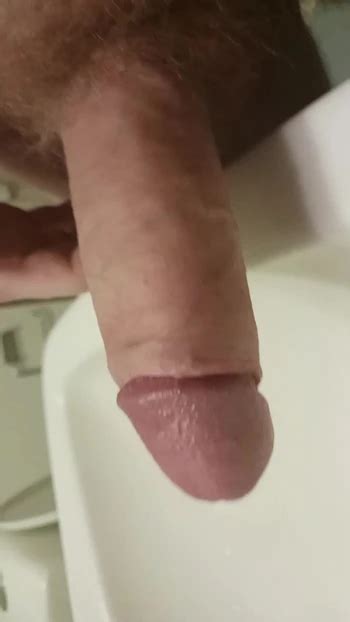 Free Cock Reveal Gay Porn Videos Xhamster