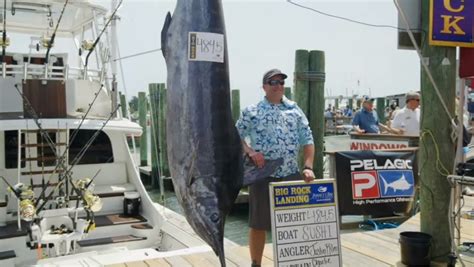 Fallout continues over ending of Big Rock Blue Marlin Tournament | WNCT