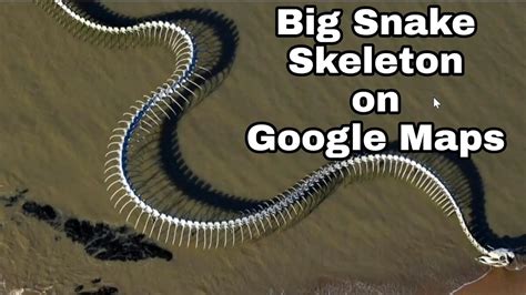 Big Snake Skeleton Found In Google Maps Snake Skeleton France On