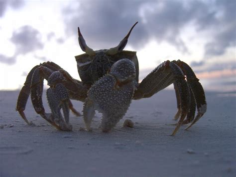 Deep South - Luxurious Maldives | PAZOLA - ekskluzywne biuro podróży ...