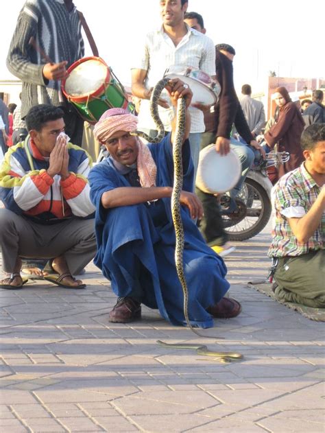 Snake Charmer Morocco Marrakech Djemaa El Fna Square Photo Archive