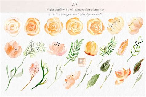 NUDE GOLD ELEMENTS Hand Drawn Watercolour And Acrylic Etsy