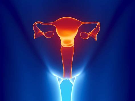 Foto De Vagina Aberta Fdplearn