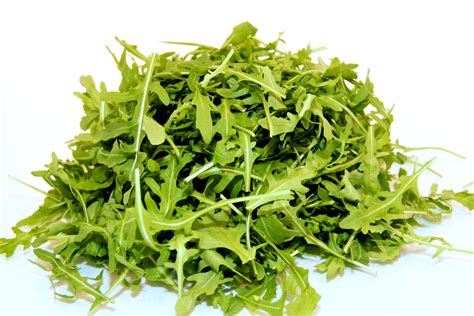 rucola per 125gr - Vers van het veld