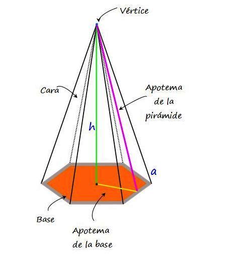 Piramide Triangular Y Sus Partes Rowrich