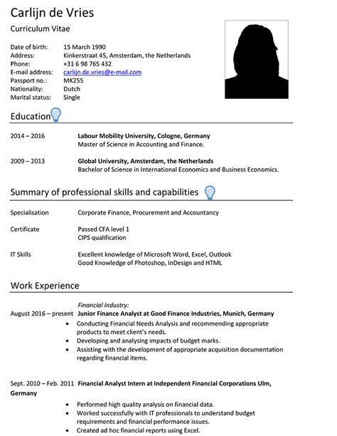 International Organisations Cv Sample Careerprofessorworks