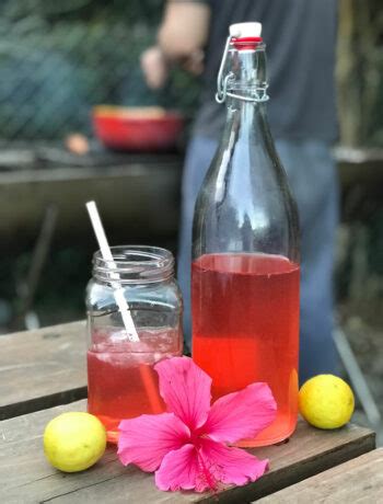 How To Make Sun Tea The Organic Gypsy