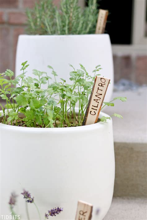 Diy Natural Wood Plant Markers Tidbits