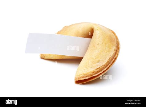 photo  cookie    empty white background clean paper