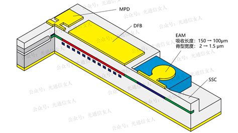 菲魅通信