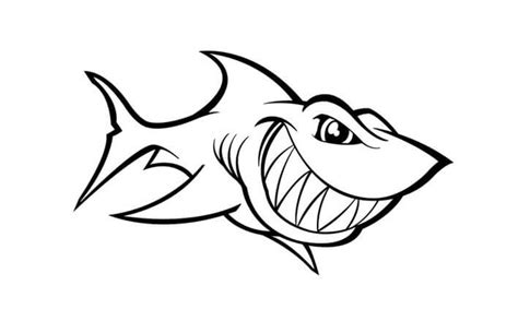 Cara Buat Sketsa Gambar Ikan Hiu Siap Diwarnai And 5 Contohnya
