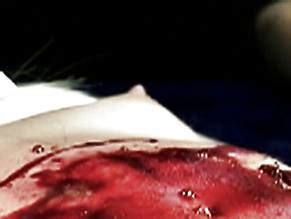 Kristi Evans Nude Aznude