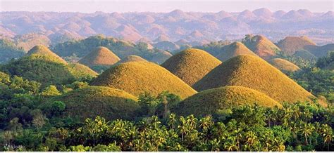 Experience The Bohol Countryside Tour With Bohollywood All In By Bohol