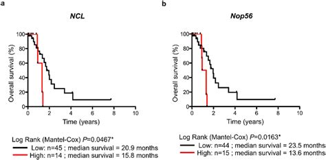 Overall Survival Of Aml Patients Related To Ncl And Nop A B