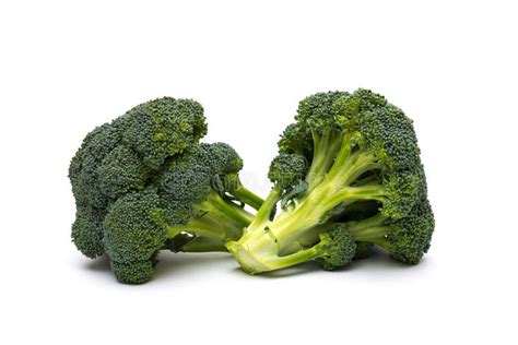Broccoli On White Background Stock Photo Image Of Plant Diet 105831756