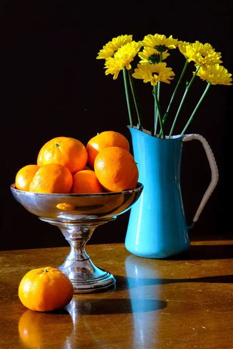 Still Photography: Everything You Need to Know - Freelance Photographer ...