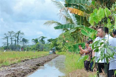 Tangani Darurat Pangan Kementan Kebut Program Optimasi Lahan