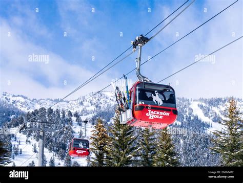 Cable Car Jackson Hole at Horace French blog