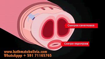 COMO FUNCIONA BATHMATE XVIDEOS