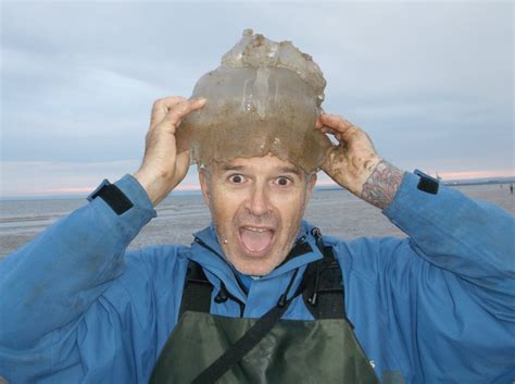 Jelly Head World Sea Fishing Forums