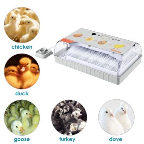 Eggs Egg Automatic Incubator Digital Poultry Hatcher Temperature