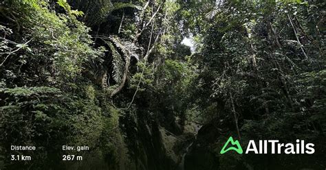 Gunung Gading National Park Waterfall 7 Sarawak Malaysia 7