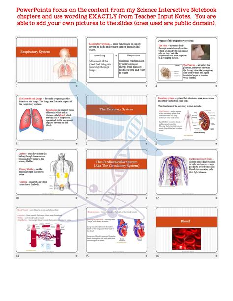 Human Body Part 2 Life Science Notes Powerpoint And Test ~ Editable