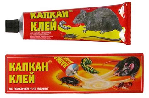Как избавиться от мышей на даче и в частном доме: народные средства ...