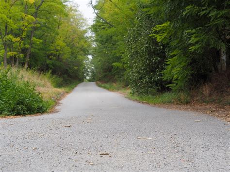 path road landscape  photo  pixabay pixabay