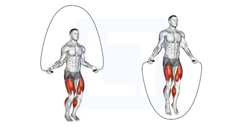 Jump Rope Guide Benefits And Form