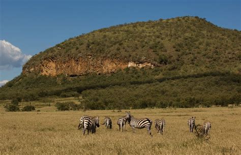 Hells Gate And Lake Naivasha Day Trip Us185 Gracepatt Ecotours Kenya