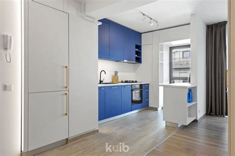 blue kitchen