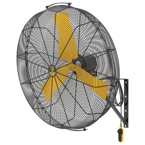 Big Ass Fans AIREYE 20 WALL MOUNT The Fan Shoppe Canada