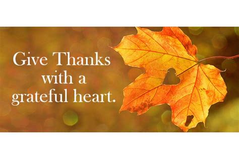 Give Thanks for it All! – Fearless Living