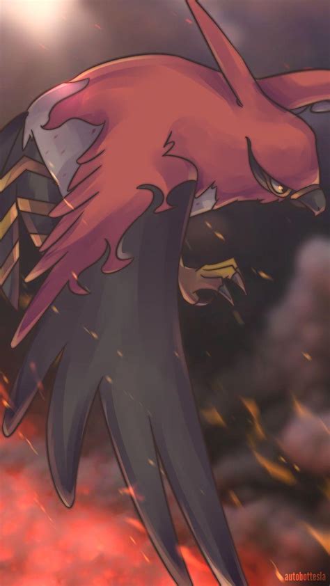 Talonflame Wallpapers Wallpaper Cave