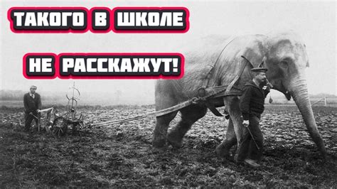 Страшная, но забытая трагедия в Российской истории. - YouTube