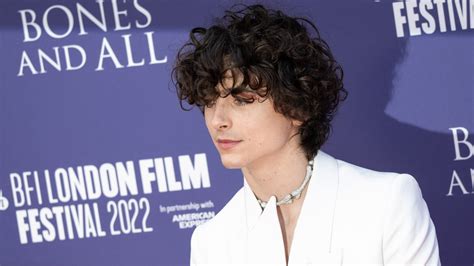 My Quest For Perfect Timothée Chalamet Hair | Vogue