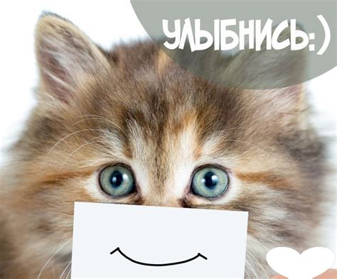 Красивые картинки "Улыбнись!" (44 фото)