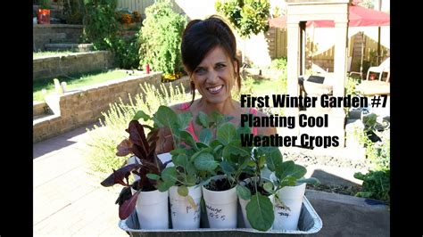 First Winter Garden Series 7 How To Plant Cool Weather Crops In The Garden Youtube