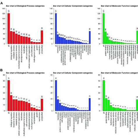 Summary Of Assigned Gene Ontology Go Slim For 176 Degs The Number Of Download Scientific